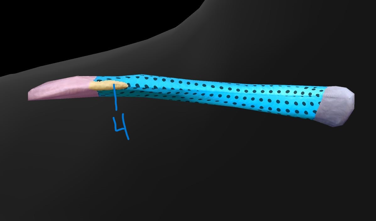 <p>Label clavicle 4</p>