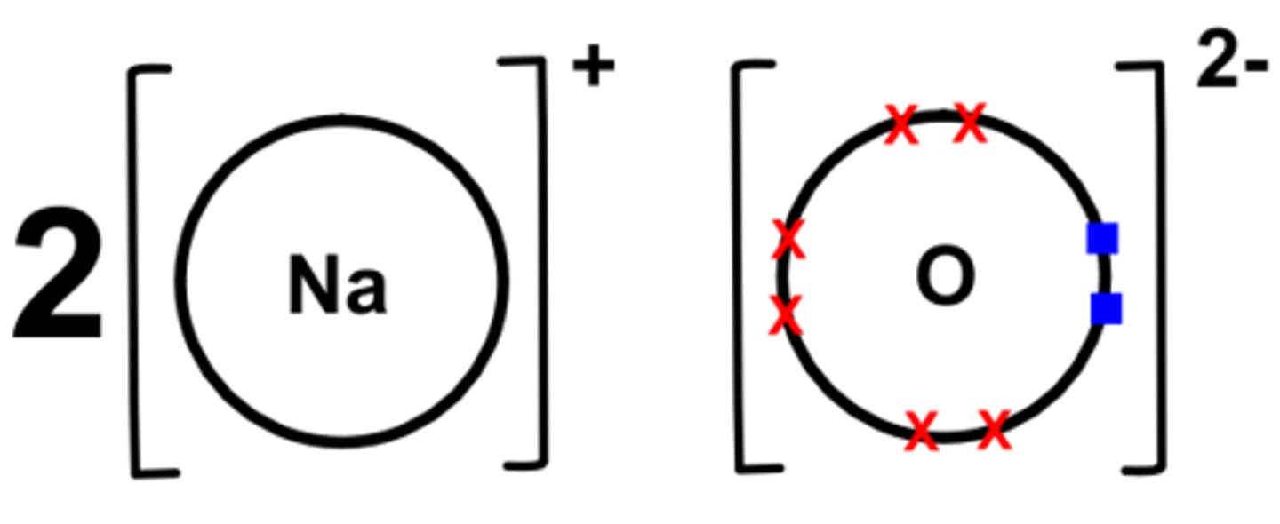 knowt flashcard image