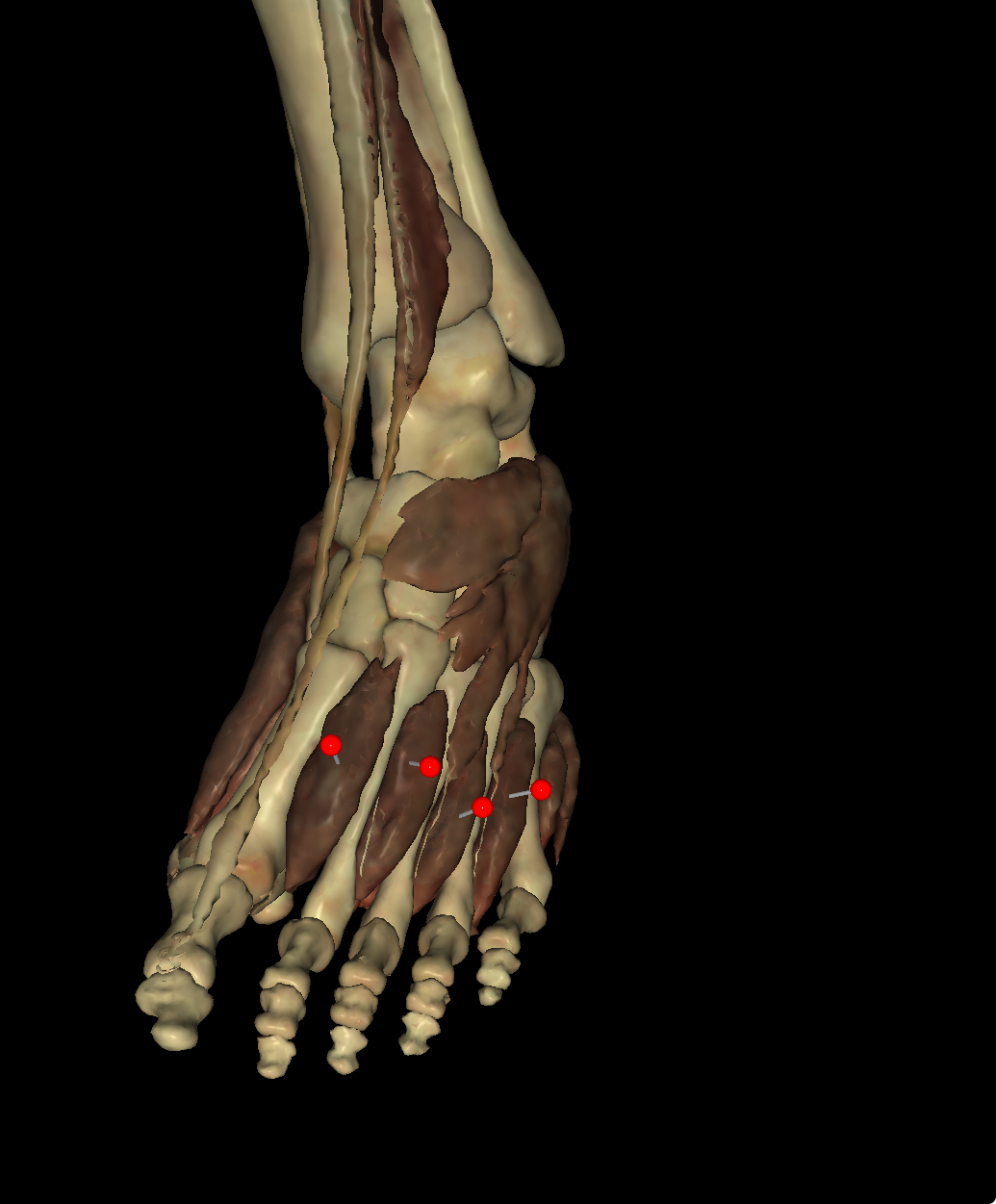 <p>Identify the Structure</p>