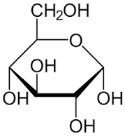 What are the 3 types of carbohydrates?