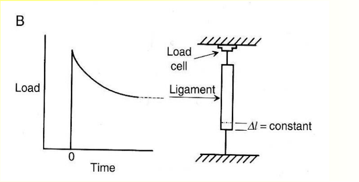 <p>A type of viscoelastic behavior:</p><p>A time dependent decrease in stress at fixed strain is called stress relaxation</p>