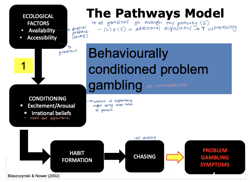 <p>all gamblers go through this pathways</p><ul><li><p>ecological factors (availability and accessibility) → conditioning (excitement/arousal from experience) → HABIT FORMATION → (loss) chasing → PG symptoms </p></li><li><p>may not have vulnerability factors but happened to be at the wrong place at the wrong time </p></li><li><p>can occur at any age </p></li></ul><p></p>