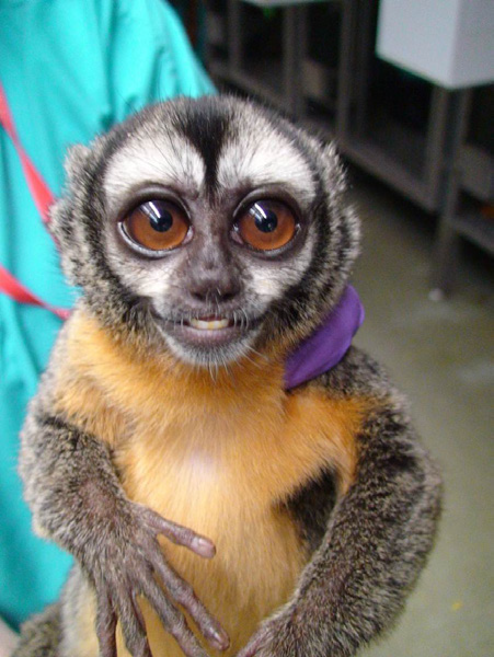 <p>What species?</p>
