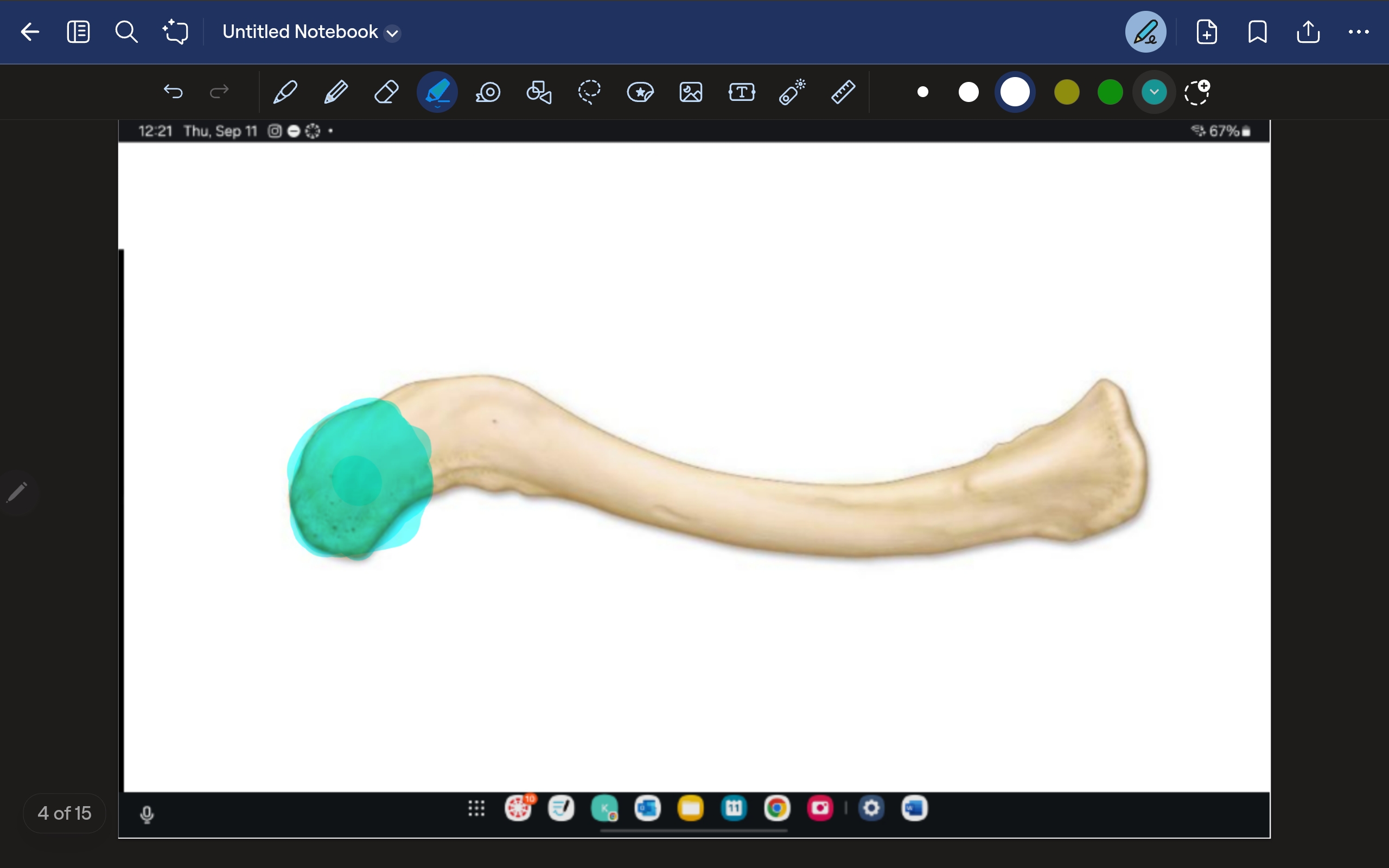 knowt flashcard image