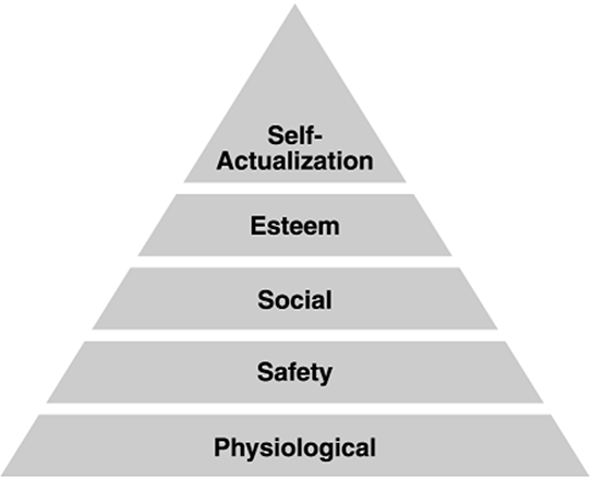 <ul><li><p>Physiological</p></li><li><p>Safety</p></li><li><p>Social</p></li><li><p>Esteem</p></li><li><p>Self-actualization</p></li></ul><p></p>
