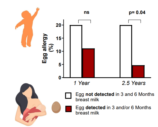 <p>Egg allergen exposure through breastmilk is associated with egg allergy prevention</p>