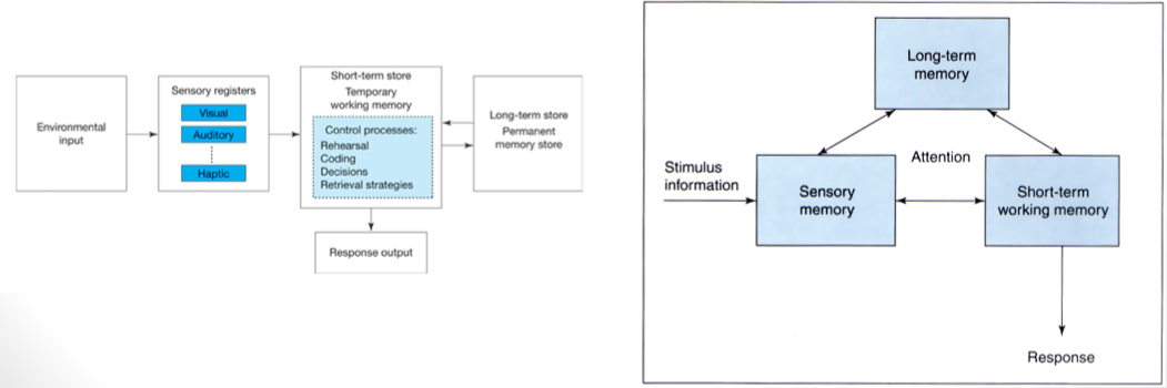 <p>Models of STM and Working Memory</p><p>________________ -<strong> </strong><span><strong>models of memory that have multiple components for how memory works</strong></span></p><ul><li><p><span>E.g., Atkinson and Shiffrin Modal Model</span></p></li></ul><p></p>