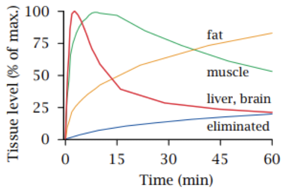 thiopental absorption. Q: level in liver + brain rose quickly following IV administration. what PK process is responsible for this? (distribution)