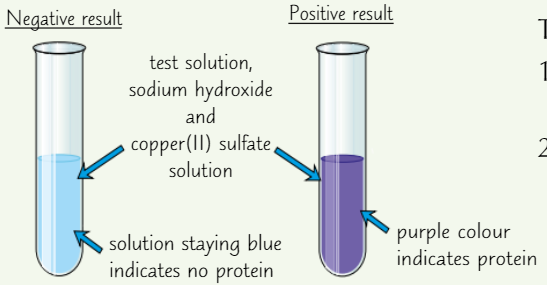 <ol><li><p>Add drops of <strong>sodium hydroxide solution</strong> (solution must be <strong>alkaline</strong>)</p></li><li><p>Add <strong>copper(II) sulfate solution</strong></p></li></ol><ul><li><p>Protein present = <strong>purple </strong>solution</p></li><li><p>No protein = solution stays <strong>blue</strong></p></li></ul><p></p>