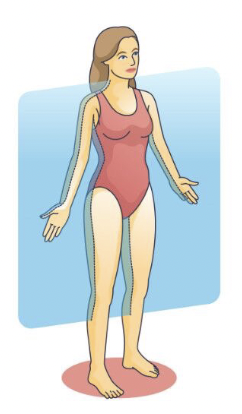 <p>What is this?</p>