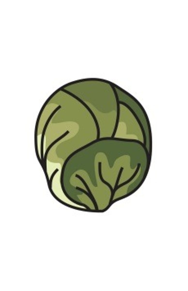 <p>adjective</p>