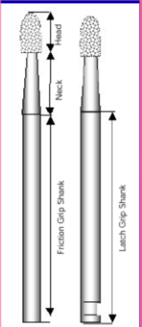 <p>the shank, the neck, and the head </p>