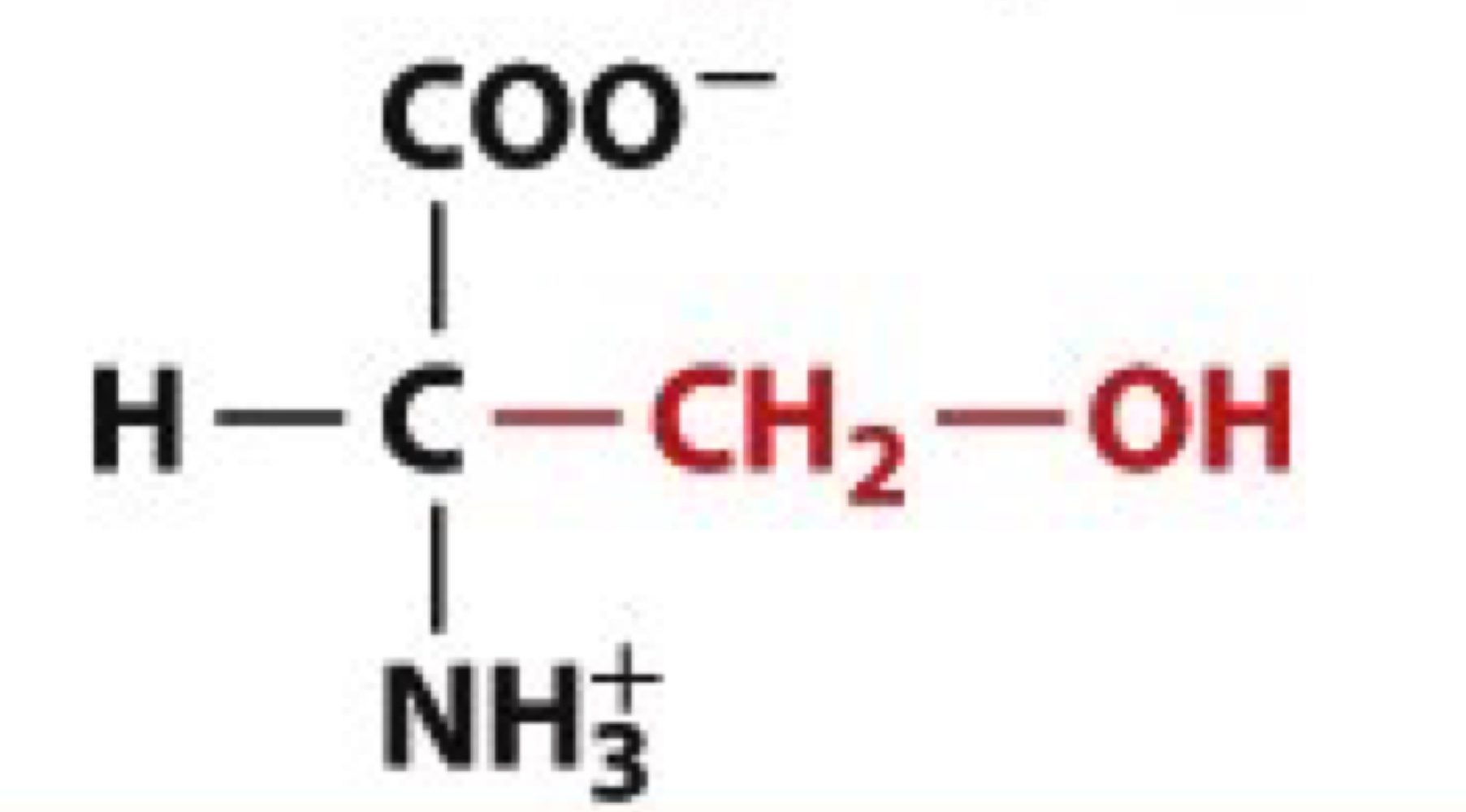 <ul><li><p>Ser, S</p></li><li><p>uncharged</p></li></ul><p></p>