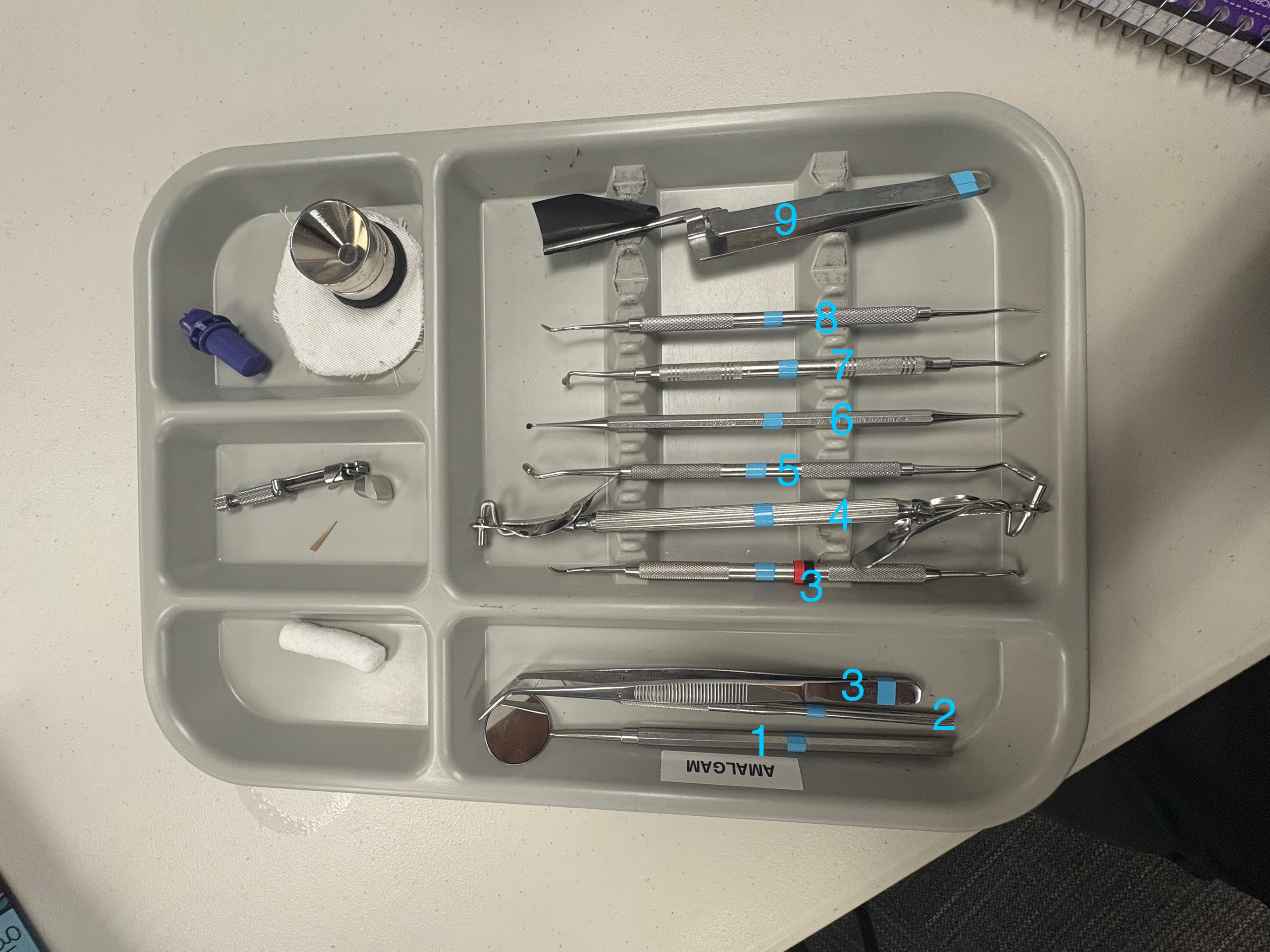 <p>What is the name for number 5?</p>