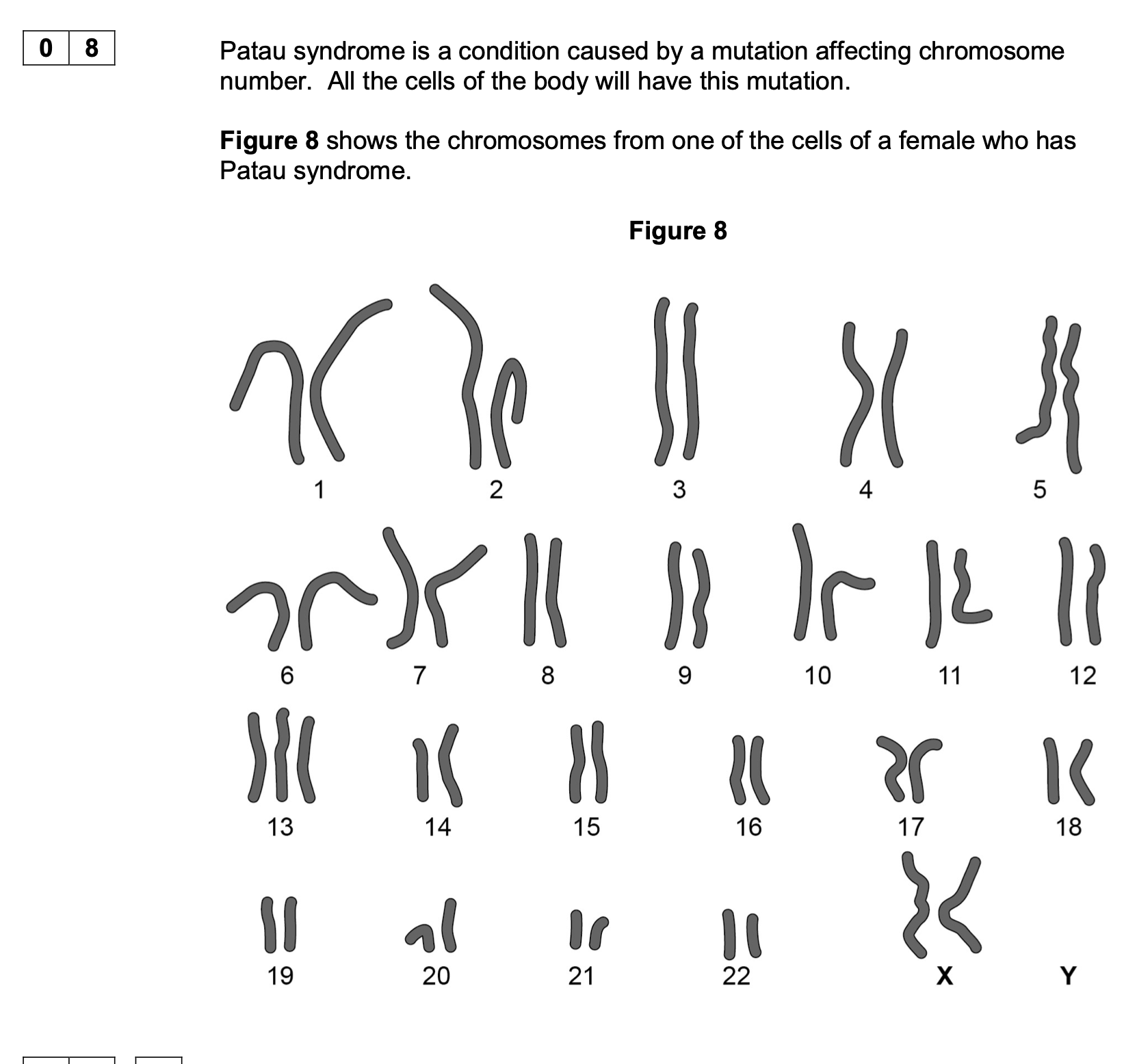 <p>Explain why all the cells of the body will have this mutation.</p>