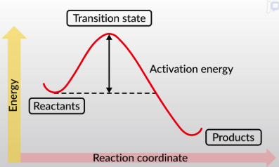<p>the minimum amount of energy it takes to pass over the transition state, meaning the reaction can proceed</p>