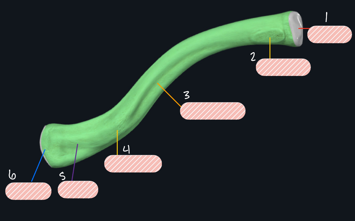 <p>Label 6</p>