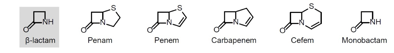 <p>feature of beta-lactam (=4 membered cyclic amide, aka azetidinone)</p><p>beta-lactam antibiotics are classified by the ring fused to the beta-lactam</p>