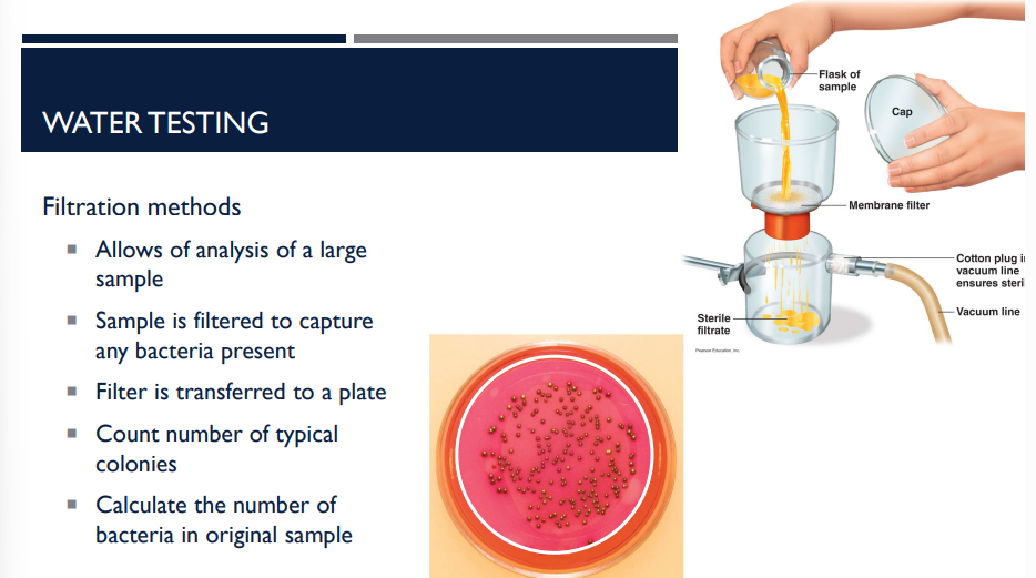 <p>In the context of water testing, describe the process of filtriation methods.</p>