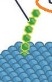 <p>carbohydrates bonded to lipids</p>