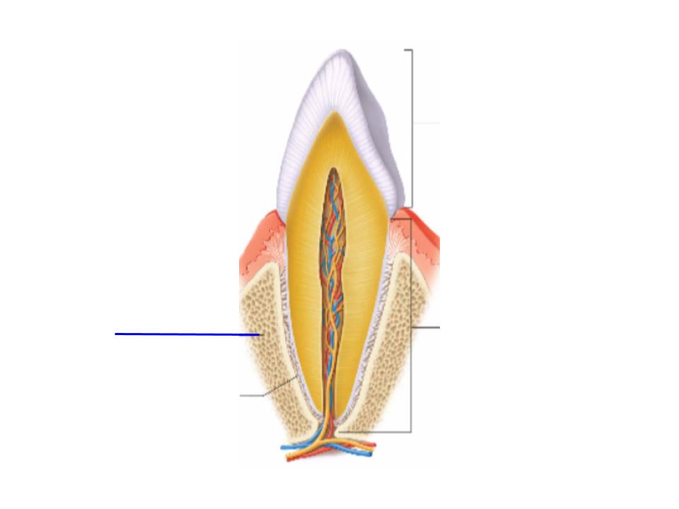 <p>What is this image pointing at? </p>