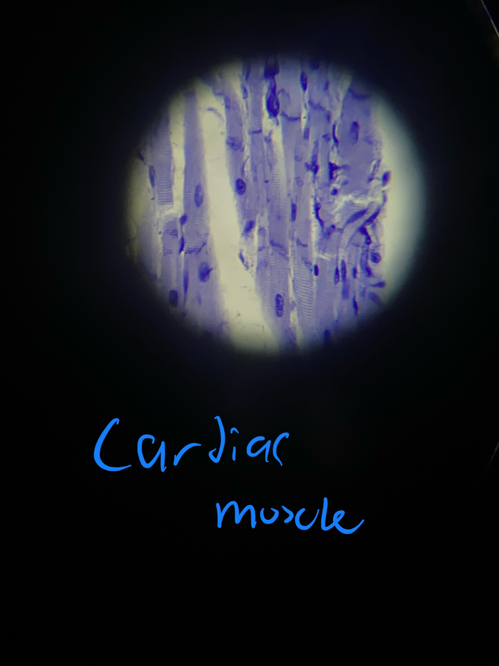 term image