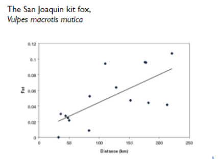 The relationship is called "Genetic Isolation by Distance". It is a term used to describe the accumulation of local genetic variation under geographically limited dispersal. This model is used to determine the distribution of gene frequencies among subpopulations that may or may not be experiencing geographic isolation.

The graph of this species shows that some subpopulations at a greater distance from each other have a higher FST, and some subpopulations that are equidistant have differing FST values. The points that seem to "fall off" the line most likely have a barrier to gene flow (like a road)