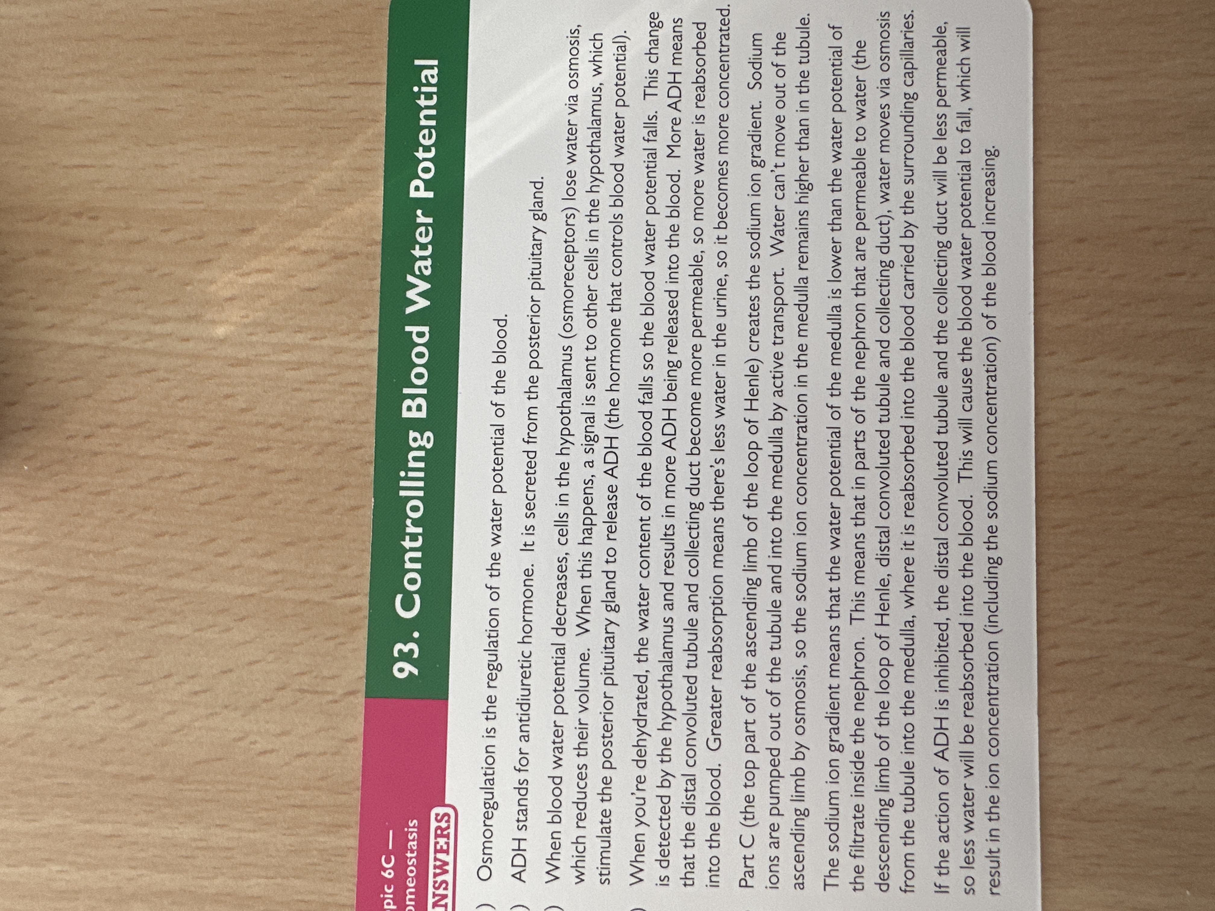 knowt flashcard image