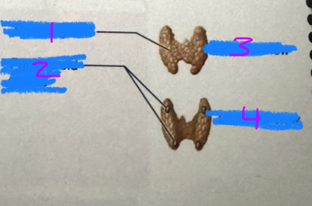 <p>2</p>