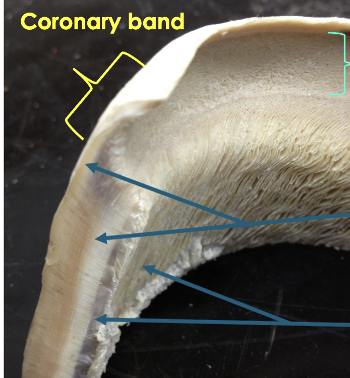 <p>what is the bottom area</p>
