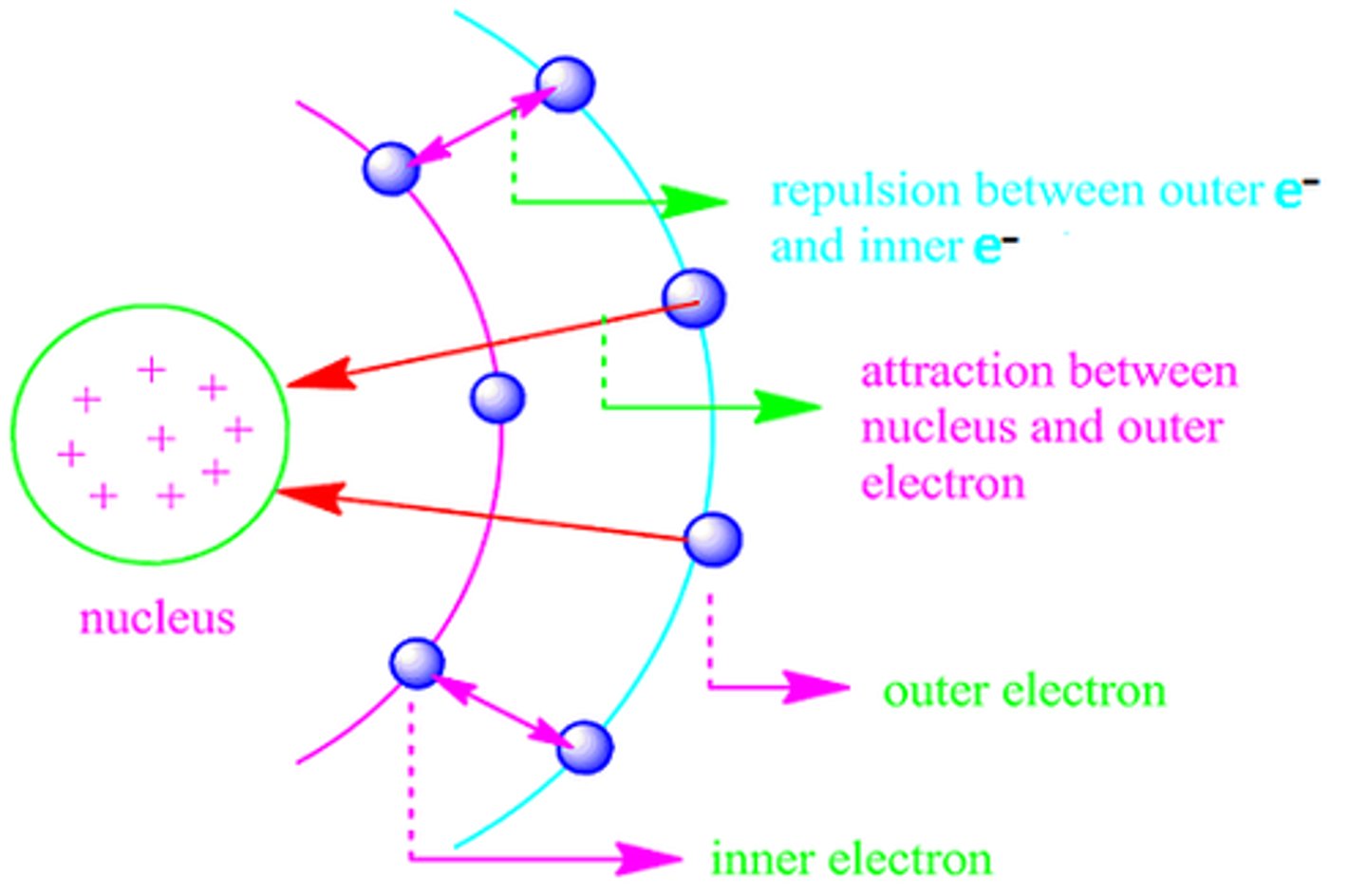 <p>core electrons partially block the attraction between the nucleus and the valence electrons</p>