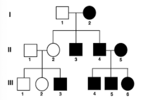 <p>Given that <span>male I-1 has no affected alleles, the inheritance pattern represented in the pedigree is most accurately described as…</span></p>