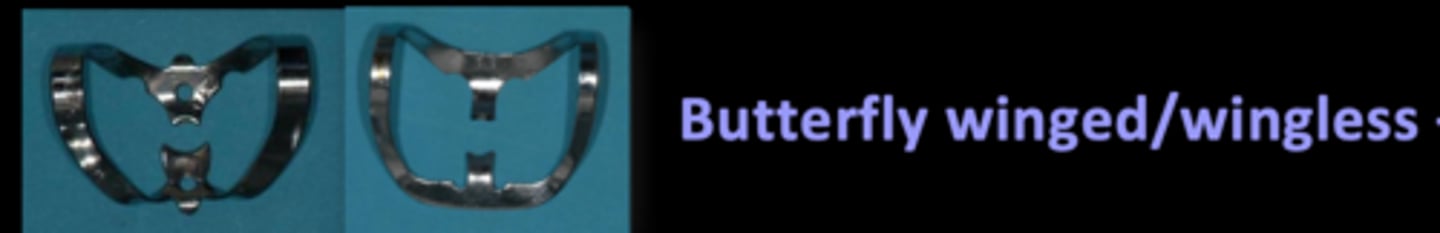 <p>What teeth are these clamps used for?</p>