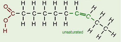 <p>hydrocarbon chain has double bonds between carbon atoms (missing H&apos;s)</p>
