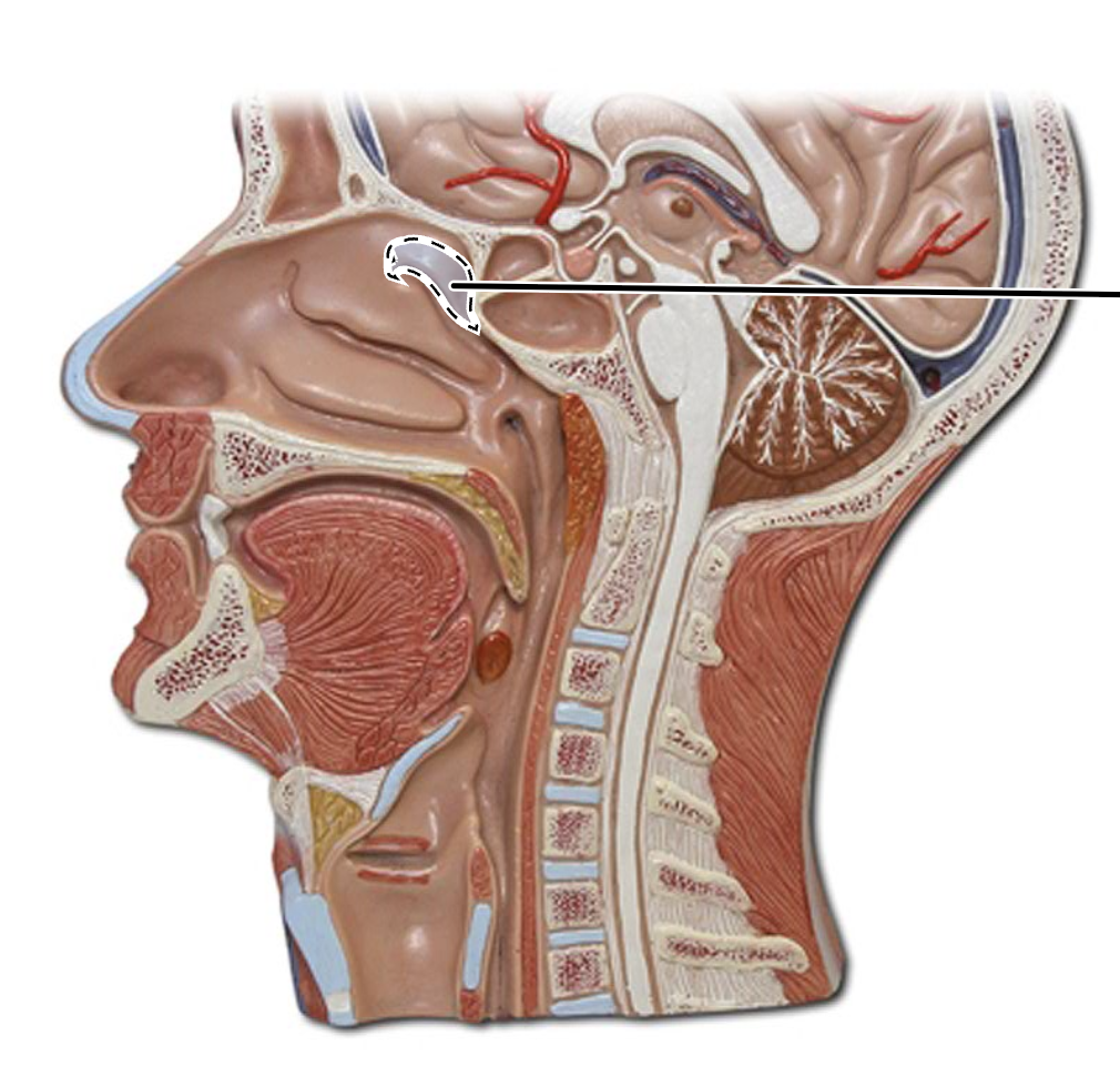 <p>What is this?</p>