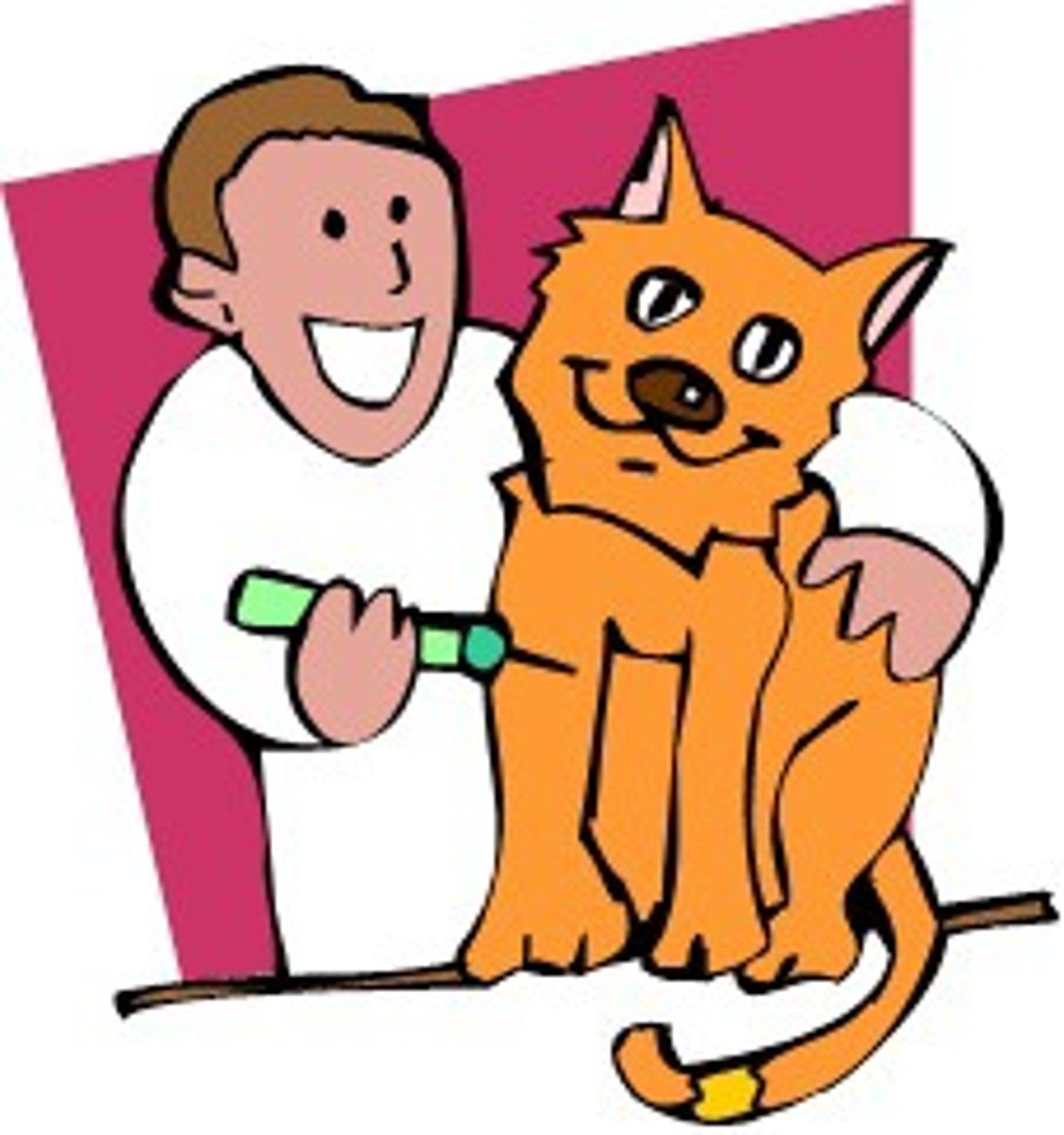 <p>veterinarian</p>