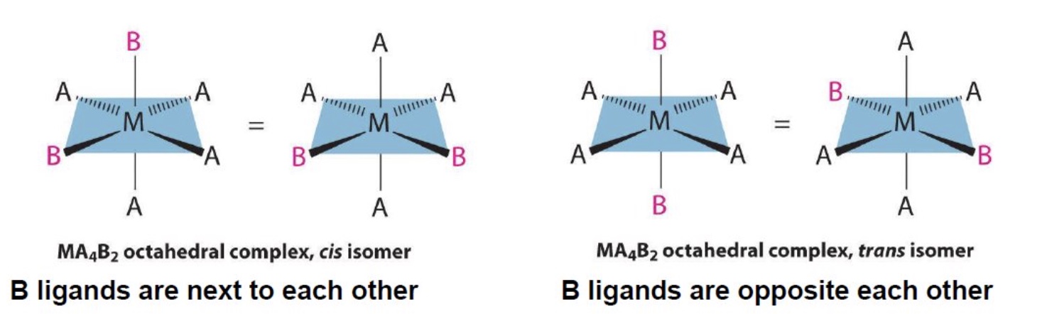 <ul><li><p>if two ligands in an octahedral complex are different from the other four, giving a MA₄B₂ complex, two isomers are possible </p></li><li><p>the two B ligands can be cis (90° to each other) or trans (180° to each other)</p></li></ul><p></p>