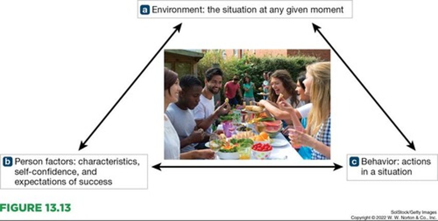 <p>Reciprocal determinism explains personality based on three factors: a person's environment, person factors (including characteristics, self-confidence, and expectations), and behavior itself.</p>