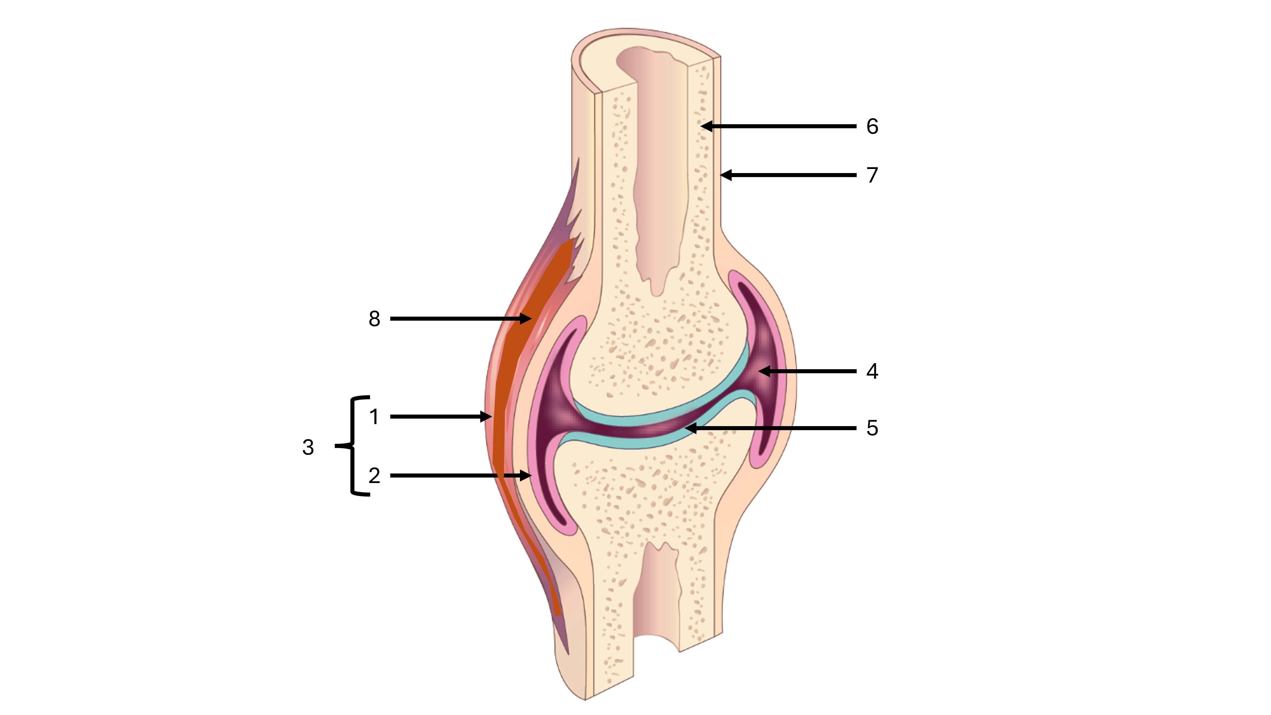 <p>what is label #5</p>