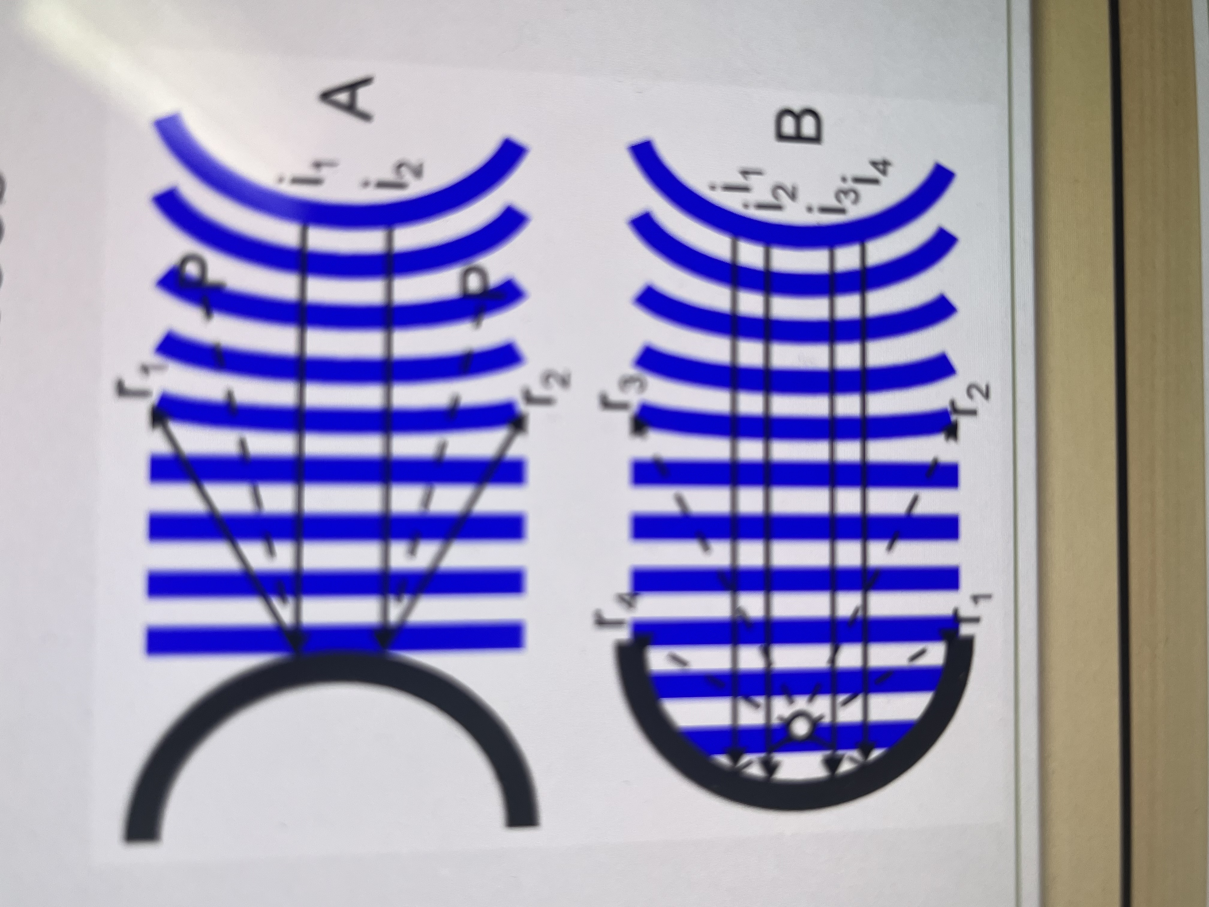 <p>Which is convex and concave? </p>