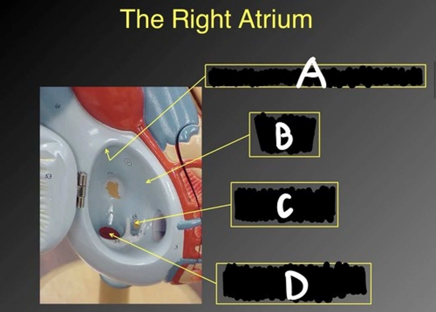 <p>What is B?</p>