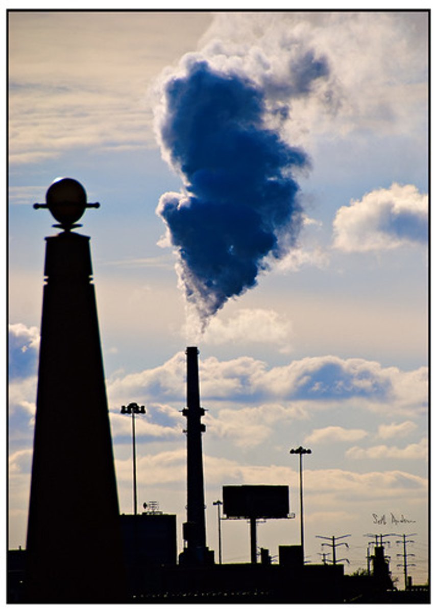 <p>Burning Coal to Make Electricity</p>