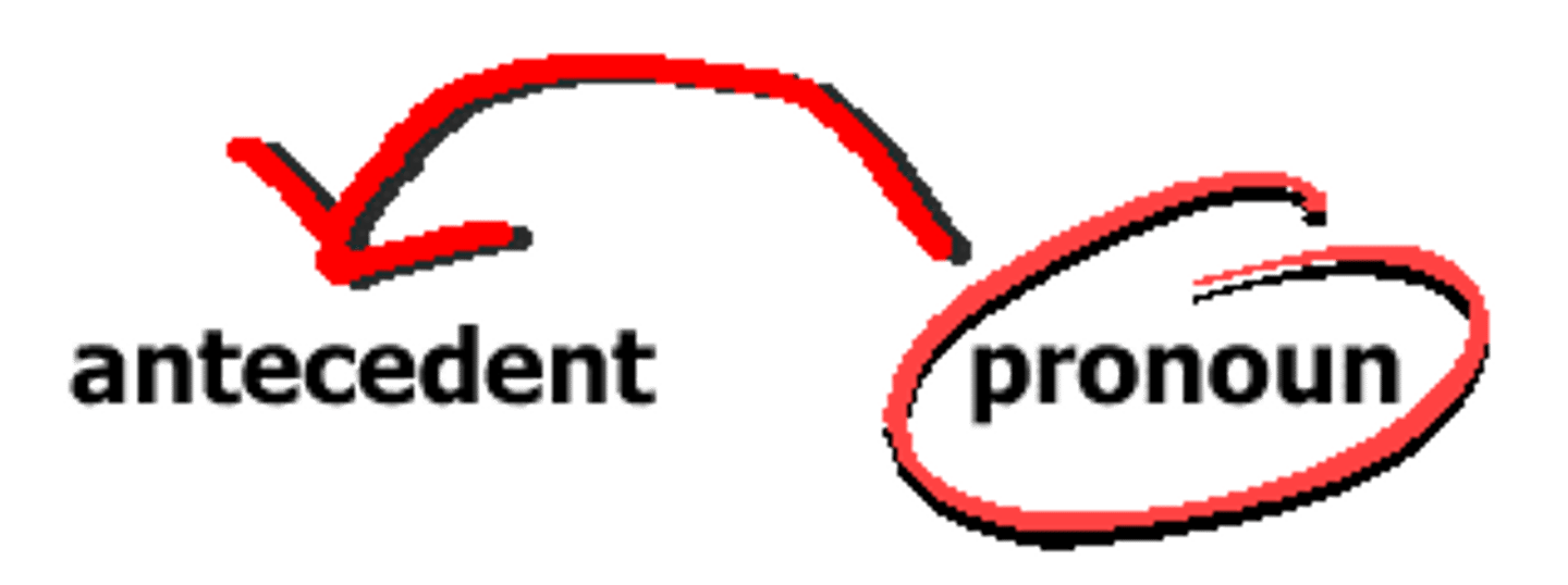 <p>The word, phrase, or clause referred to by a pronoun.</p>
