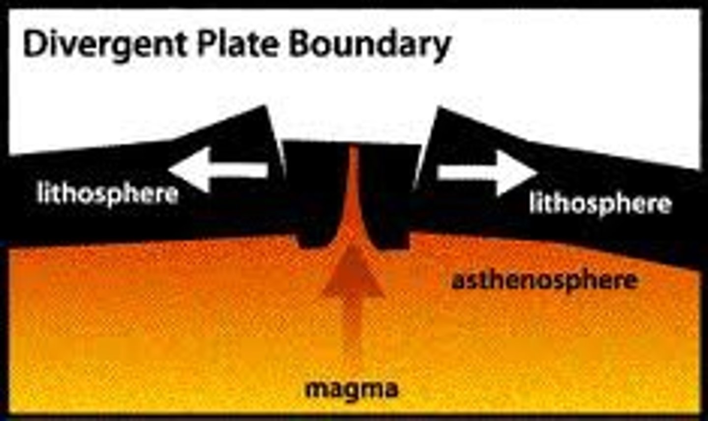 <p>an area beneath the ocean where tectonic plates move away from each other</p>