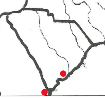 <p>South Carolina</p>