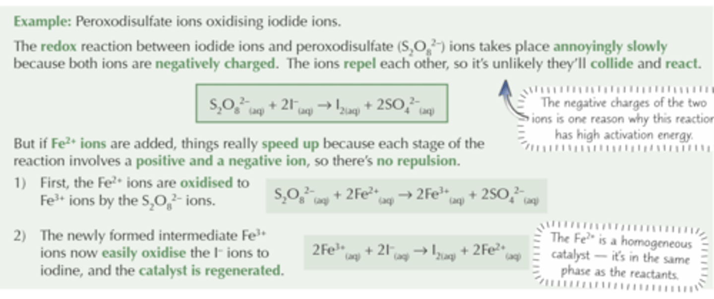 <p>Catalyst is in the same phase as reactants</p>