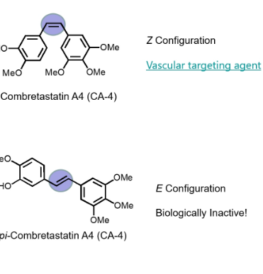 <p>introduces a space that prevents free rotation around that bond</p>