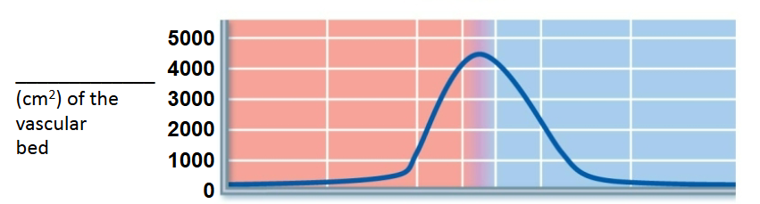 <p>what is this a graph of </p>