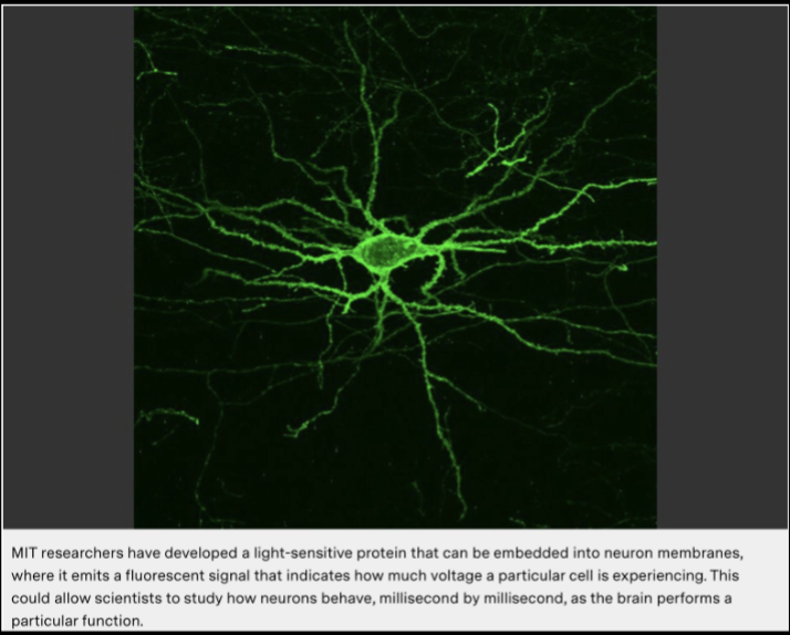 <ul><li><p>ELECTROCHEMICAL</p><ul><li><p>Ways to measure&nbsp;</p></li></ul></li><li><p><span style="background-color: transparent; font-family: Arial, sans-serif, Inter, ui-sans-serif, system-ui, -apple-system, BlinkMacSystemFont, &quot;Segoe UI&quot;, Roboto, &quot;Helvetica Neue&quot;, &quot;Noto Sans&quot;, &quot;Apple Color Emoji&quot;, &quot;Segoe UI Emoji&quot;, &quot;Segoe UI Symbol&quot;, &quot;Noto Color Emoji&quot;; font-size: 1.6rem;">Electrical activity</span></p></li><li><p>Chemical activity&nbsp;</p></li></ul><p></p>