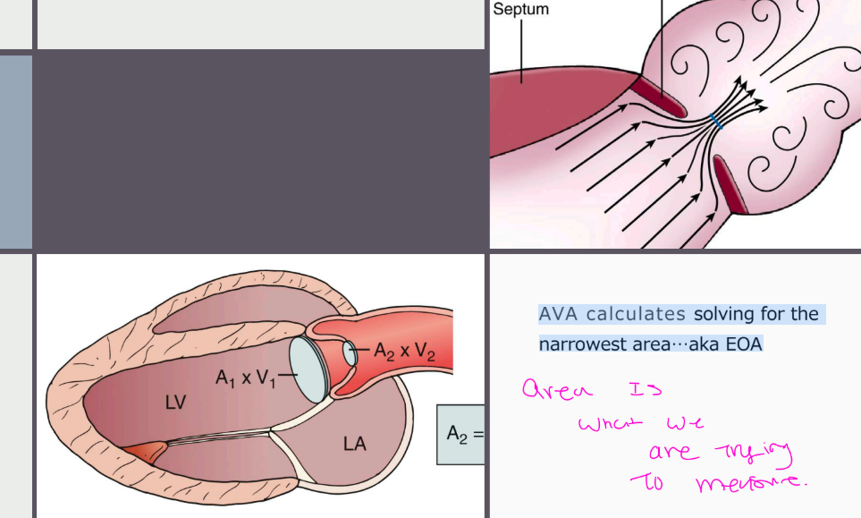 <p>AVA calculates solving for the</p><p>narrowest area...aka EOA</p>
